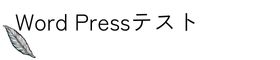Word Press